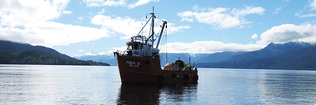 Banner Científicos realizan estudios en fiordos de Puyuhuapi y Tortel